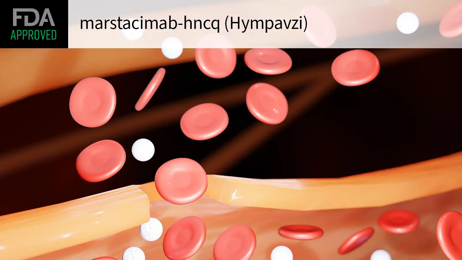 HYMPAVZI(marstacimab-hncq,马塔西单抗)中文说明书-价格-适应症-不良反应及注意事项_香港济民药业