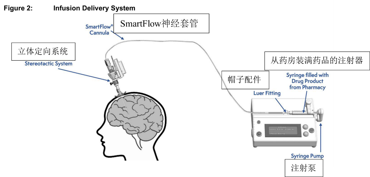 Kebilidi(eladocagene exuparvovec-tneq)中文说明书-价格-适应症-不良反应及注意事项_香港济民药业